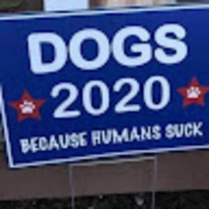 Meet your Posher, Perl